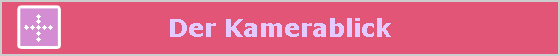 Der Kamerablick